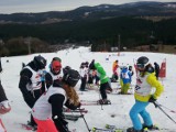 Mistrzostwa Czeladzi w narciarstwie alpejskim 2016 [ZDJĘCIA]