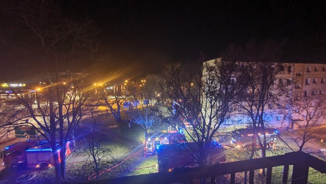 Tragiczny pożar miał miejsce we wtorek, 12 marca. W mieszkaniu strażacy trafili na częściowo zwęglone zwłoki.