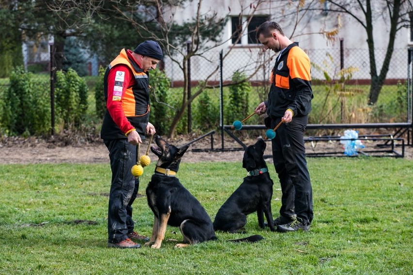 Rabka Zdrój. Świętowano 45-lecie pracy psów w szeregach GOPR