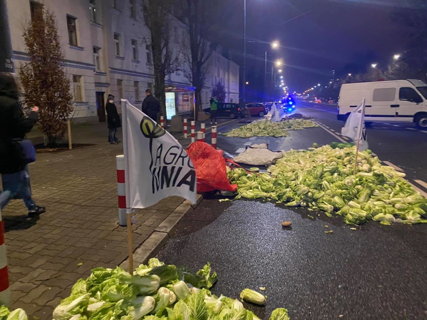 Martwa świnia i jaja dla Jarosława Kaczyńskiego? Nie wszyscy rolnicy to popierają - komentarze