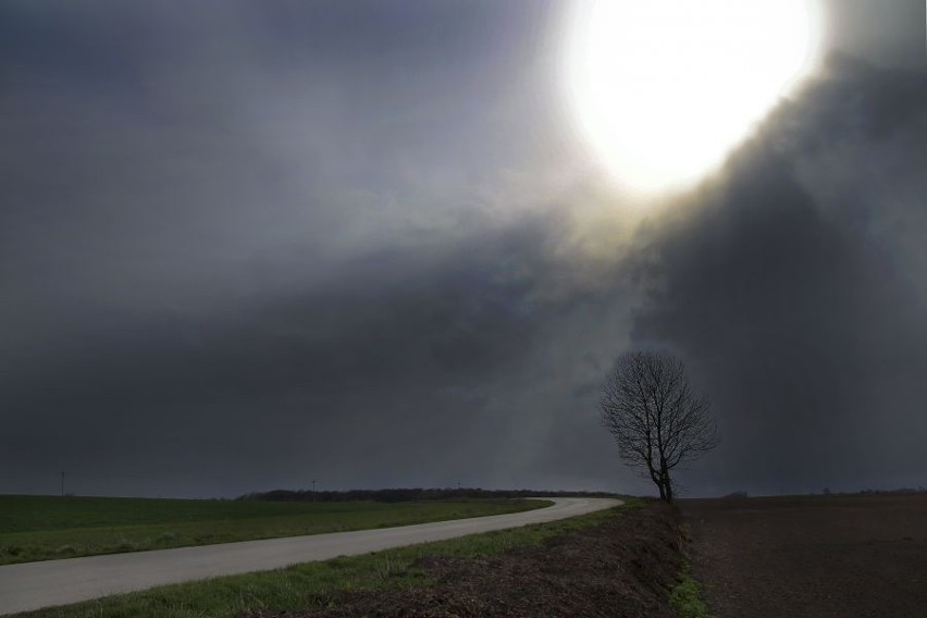 Fotografia, która znajdzie się na wystawie