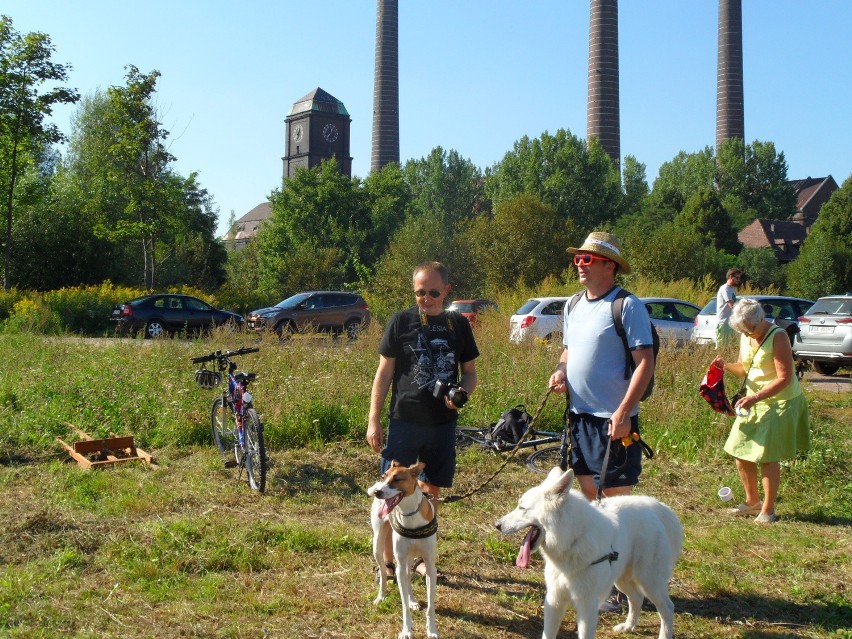 Piknik przy Elektrociepłowni Szombierki