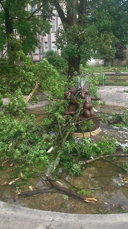 Skutki niedzielnej wichury w Żarach