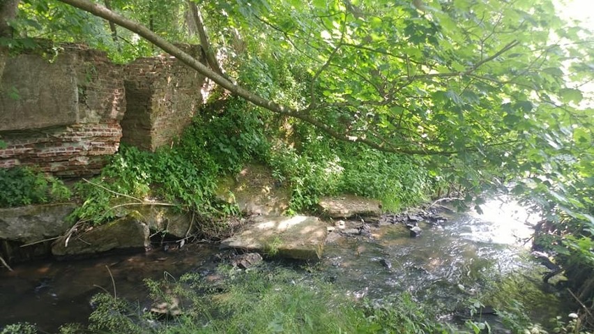 Park Krajobrazowy Dolina Słupi ma 40 lat. Rozmowa z Marcinem Millerem, kierownikiem Parku