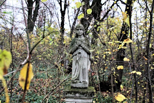 Na przygranicznym cmentarzu w Dłużniowie