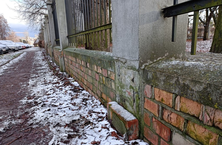 Mur cmentarza żydowskiego w Toruniu jest w fatalnym stanie....