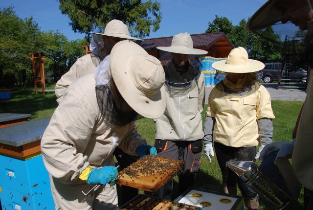 Pomorski Ośrodek Doradztwa Rolniczego zorganizował szkolenie dla pszczelarzyMłodzi pszczelarze uczą się tajników fachu na bezpłatnych zajęciach
