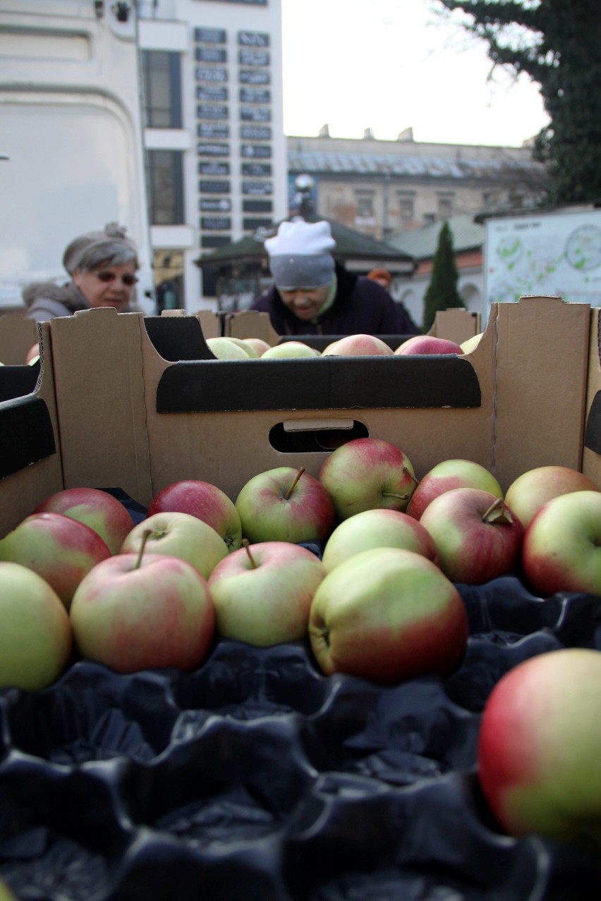 Wielu chętnych na darmowe jabłka w Lublinie. Owoce rozeszły się w ekspresowym tempie