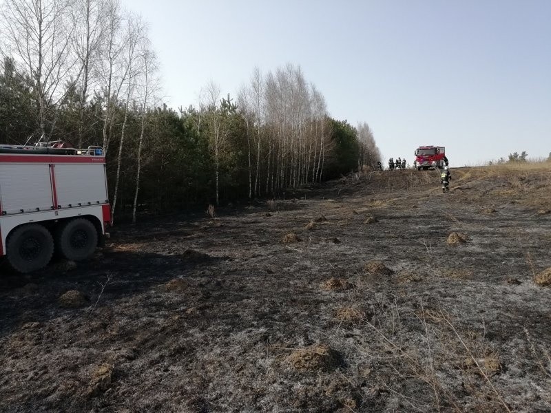 W piątek strażacy otrzymali wiadomość o pożarze lasu w...