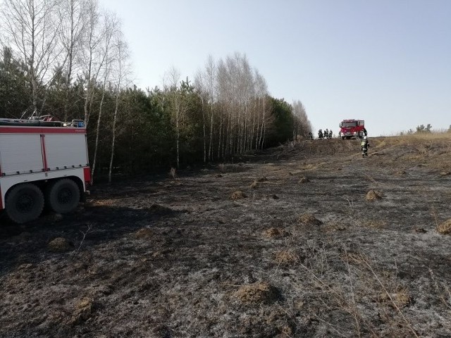 W piątek strażacy otrzymali wiadomość o pożarze lasu w miejscowości Kośmidry, powiat gołdapski.