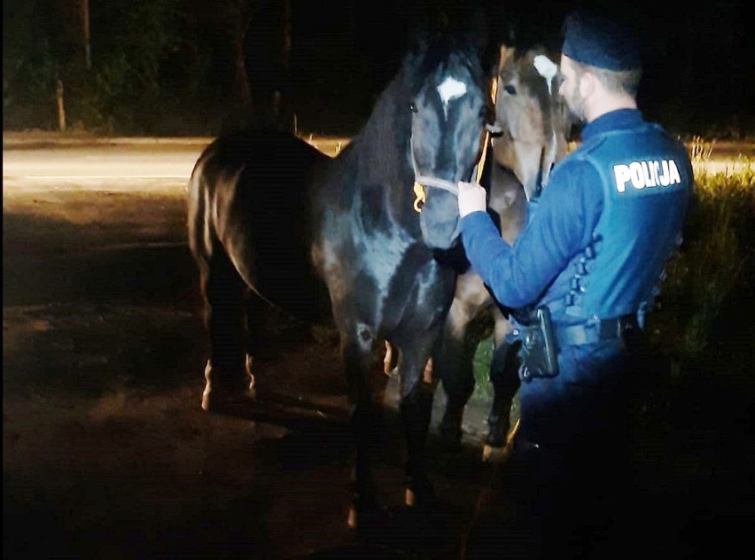 Policjanci z Rypina zostali wezwani do nietypowej...