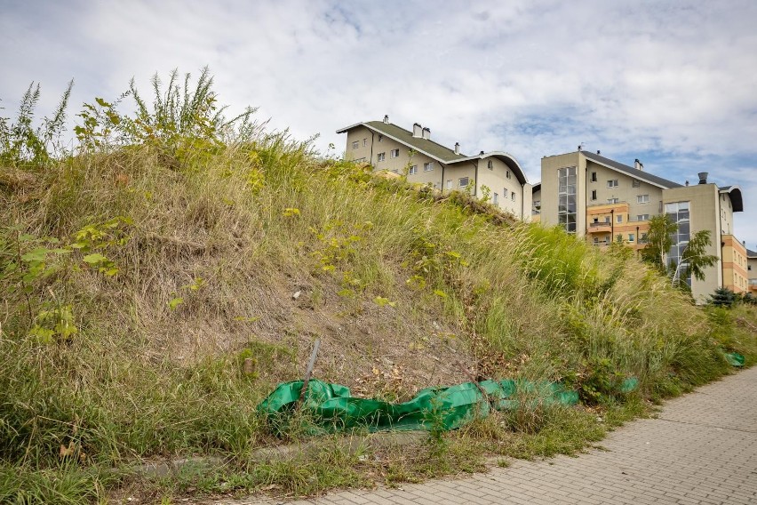 Kraków. Blok, nowa droga, a może zieleń? Trwa wyścig urzędników z inwestorem