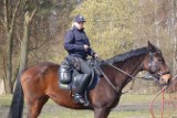 Szczeciński patrol konny i ponad 400 policjantów jedzie zabezpieczać Euro
