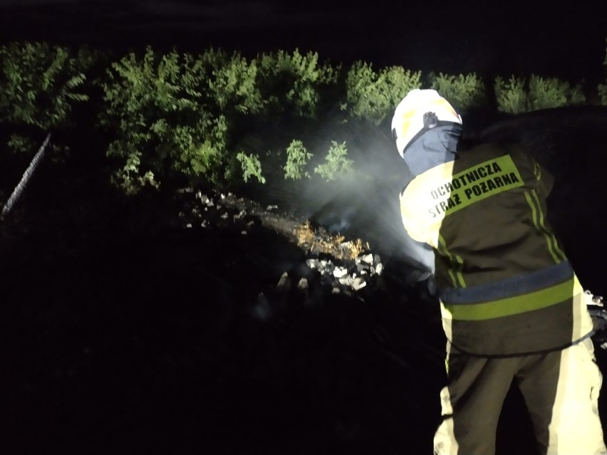 Piorun uderzył w kurnik w Nagorzycach. Strażakom udało się uratować drób. Zobacz zdjęcia z akcji