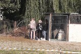 Wrocławskie liceum: "Zamiast palić papierosy po podwórkach, niech palą w szkole"