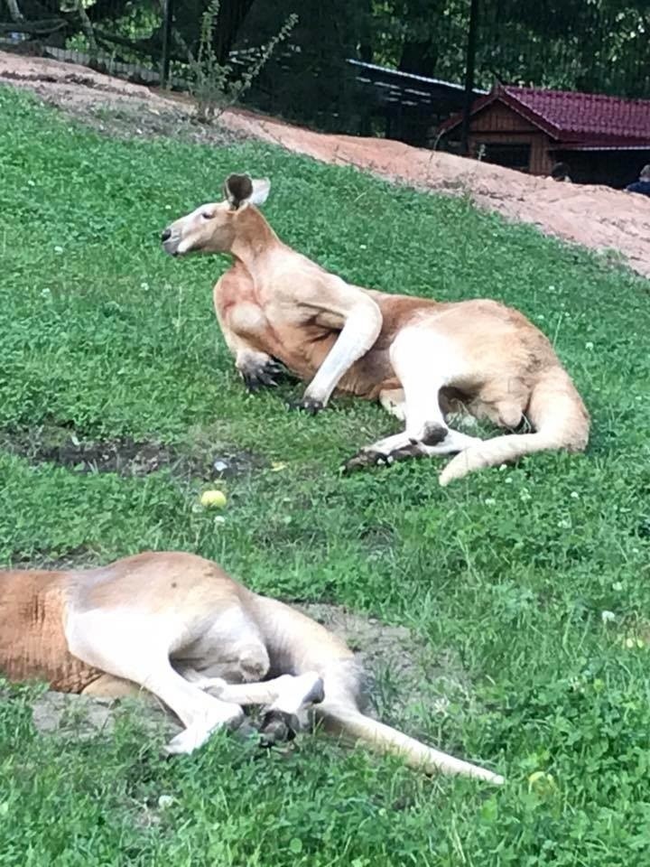 Światowy Dzień Fotografii - oto zdjęcia, z które zrobili nasi czytelnicy i są z nich dumni [ZDJĘCIA] 