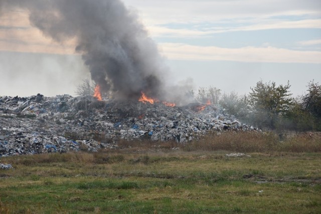 W środę rano doszło do kolejnego pożaru składowiska odpadów w Pyszącej w powiecie śremskim. Z ogniem walczy 15 zastępów straży pożarnej.