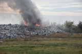 Śrem: Kolejny pożar składowiska odpadów w Pyszącej [ZDJĘCIA]