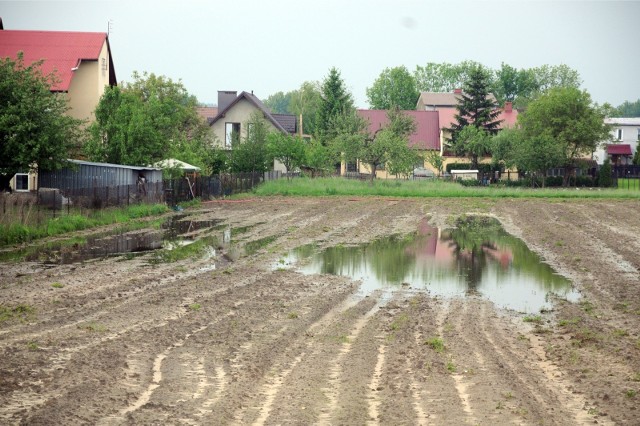 Woda na polach hamuje wzrost roślin i opóźnia niezbędne zabiegi agrotechniczne.