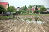 Na polach mokro, powietrze zimne, pszczoły nie latają. Straty są już nie do odrobienia