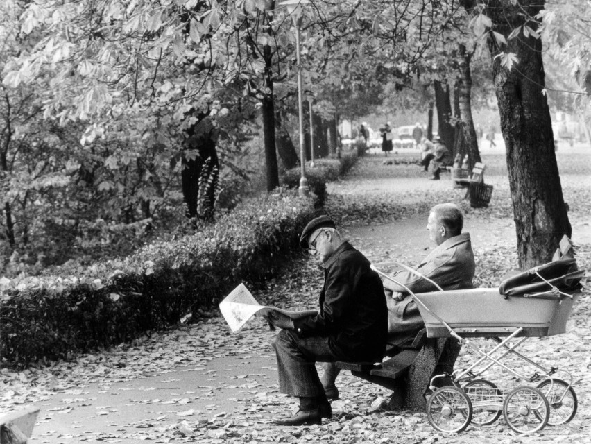 1984 rok, park nad fosą