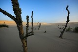 Tajemnicze formy z piasku pojawiły się nad Bałtykiem – krajobraz jak z filmu science fiction. To nie jest dzieło człowieka