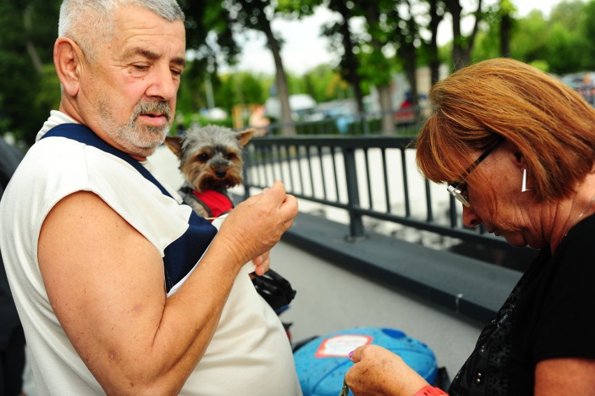 Kraków. Senioralia w Nowohuckim Centrum Kultury, czyli festiwal dla aktywnych