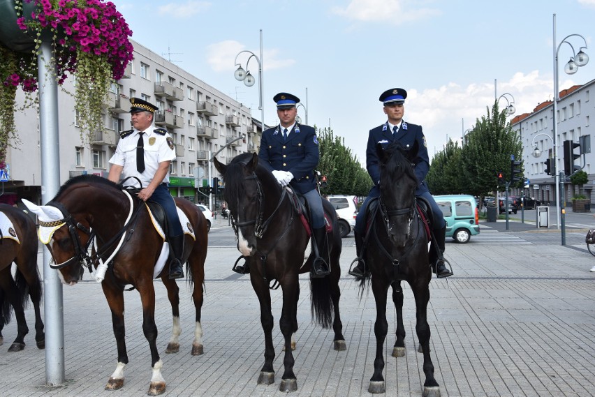 XVIII Międzynarodowy Turniej Policji Konnej w Częstochowie