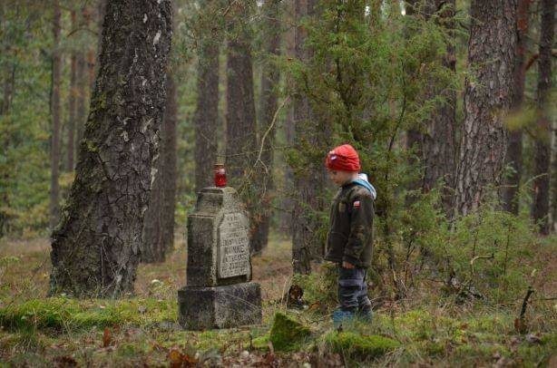Zapomniane cmentarze w lasach Kujaw i Pomorza. Dbają o nie leśnicy