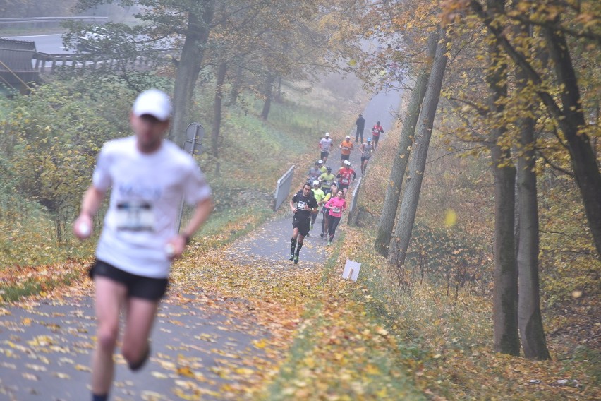 33 Toruń Marathon...