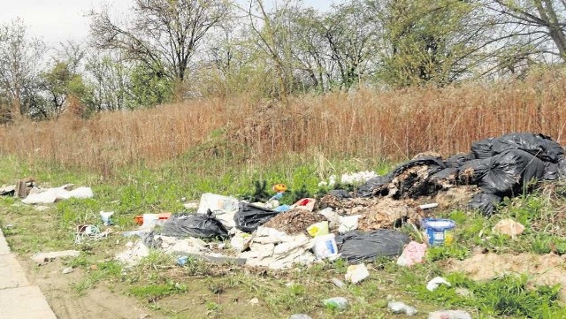 Dzikie wysypiska wciąż istnieją. Być może część z nich zniknie po powstanie punktu odbioru odpadów.