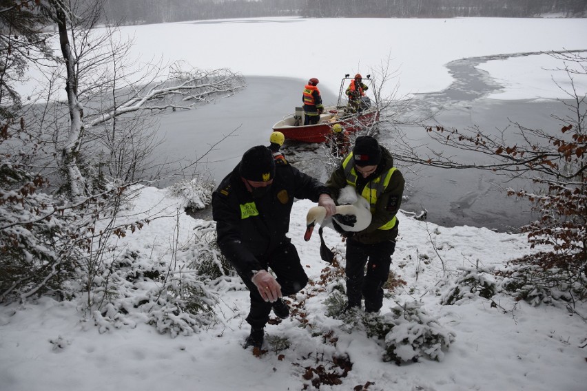 Dzisiaj (12.01.2020) miasteccy strażacy, komendant straży...