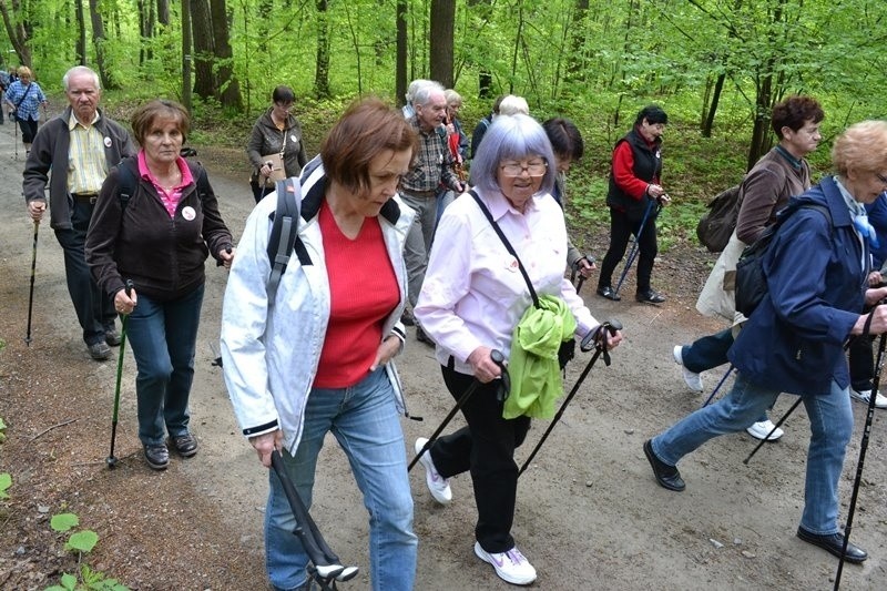 Bielsko-Biała: seniorzy włączyli się w ogólnopolski marsz UTW 2015 [ZDJĘCIA]