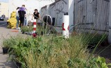 Z inicjatywy lokalnej w Grudziądzu posadzono ponad dwieście roślin pod muralem przy ulicy Małogroblowej [zdjęcia]