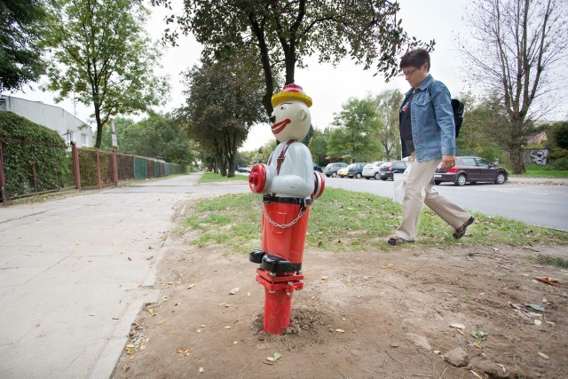 Kolorowy hydrant na ulicy Wazów