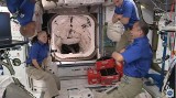 USA: astronauci zrobili "kosmiczne tacos" z zielonej papryczki chili wyhodowanej na ISS