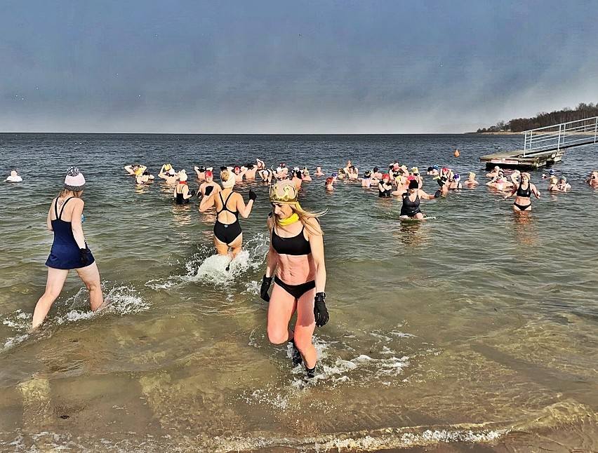 Dąbrowa Górnicza. Pogoria morsuje również w Święto Trzech...