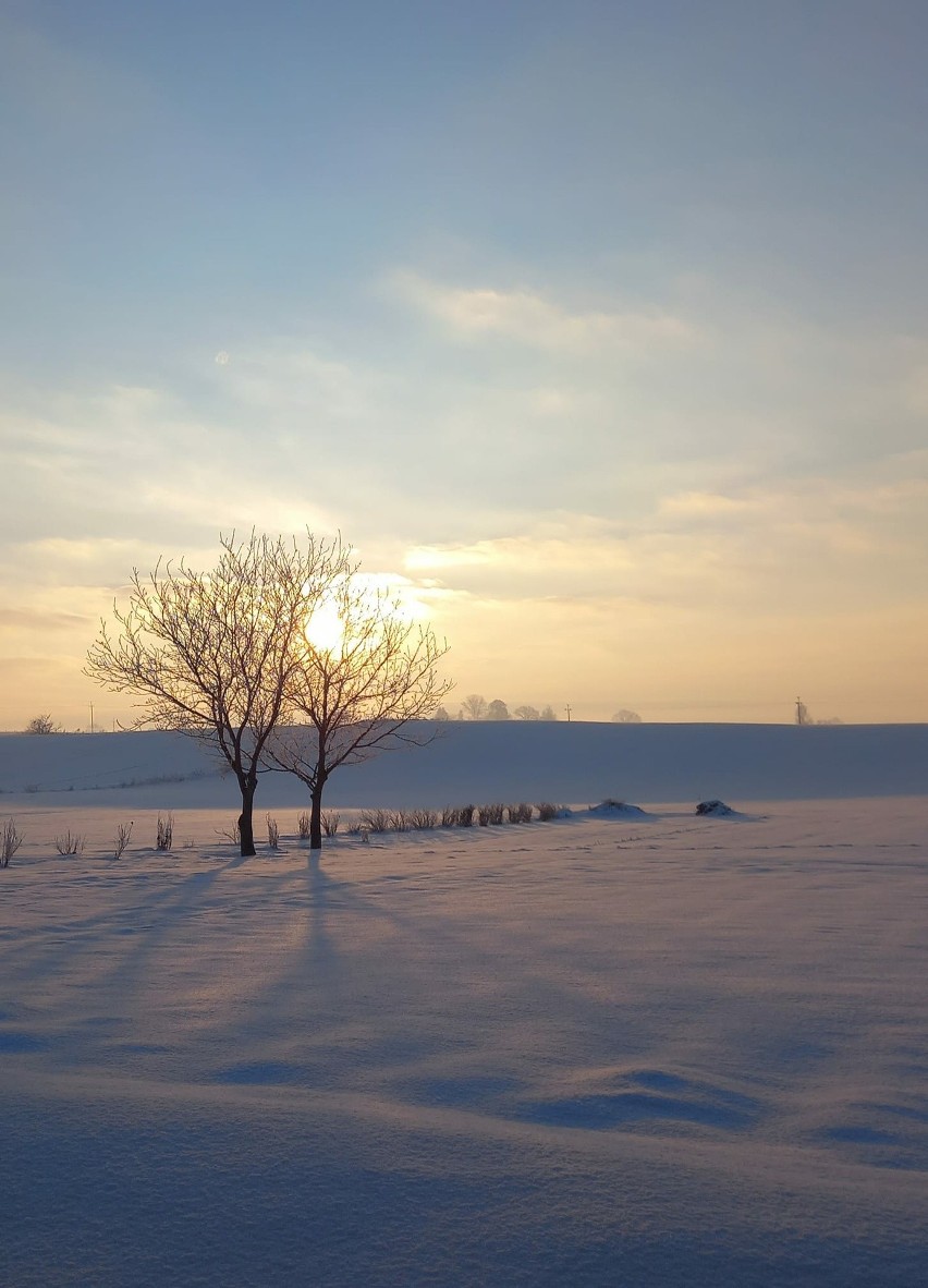 Zima widziana oczami Czytelników Kuriera Lubelskiego. Zobacz zdjęcia 