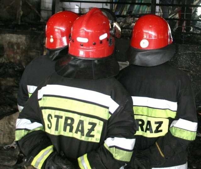 Na miejsce pożaru przybyli strażacy, jednak wcześniej już ogień opanowała ochrona