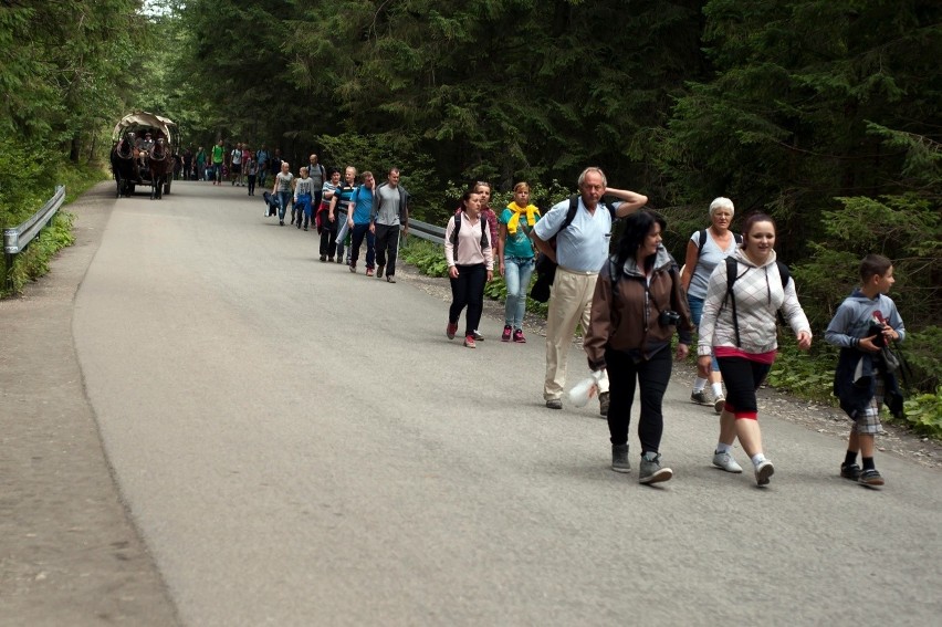 Tatry. Eksperyment na drodze do Morskiego Oka. Testy nowego rodzaju asfaltu