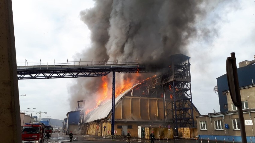 Pożar w Porcie Gdynia 5.03.2020. Strażakom udało się ugasić płonący magazyn. Przyczyny pożaru ustali policja [zdjęcia, wideo]