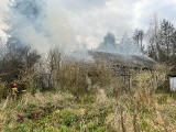 Pożar stodoły w miejscowości Wiązownica Kolonia. W akcji 15 ratowników