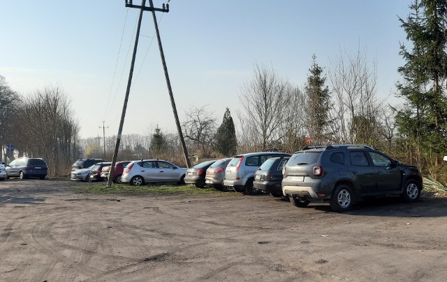 Parkingi przy działkach w stronę Bierkowa były zapełnione samochodami.