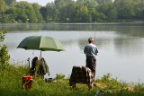 Największe zbiorniki do łowienia ryb w województwie śląskim. Tutaj najlepiej wybrać się na wędkowanie