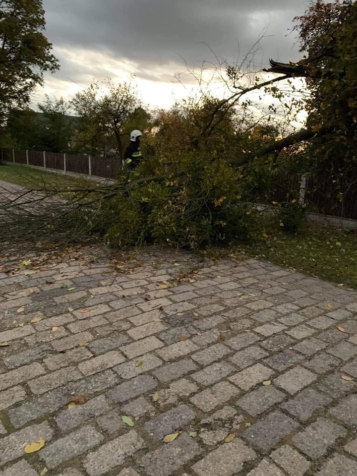 OSP Gwoździany został zadysponowany do miejscowego...