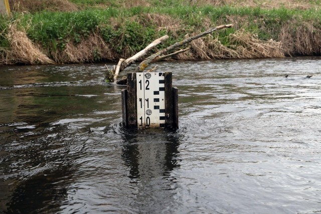 - Od połowy maja na wielu rzekach w Polsce zaznacza się wyraźna tendencja obniżania się poziomu wód - informuje IMGW.