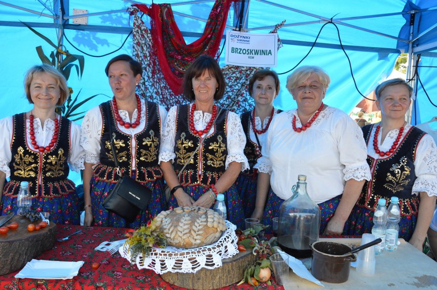 Zabierzów. KGW z Rudawy podczas dożynek gminnych wygrało konkurs kulinarny i konkurs na najładniejsze stoisko [ZDJĘCIA]