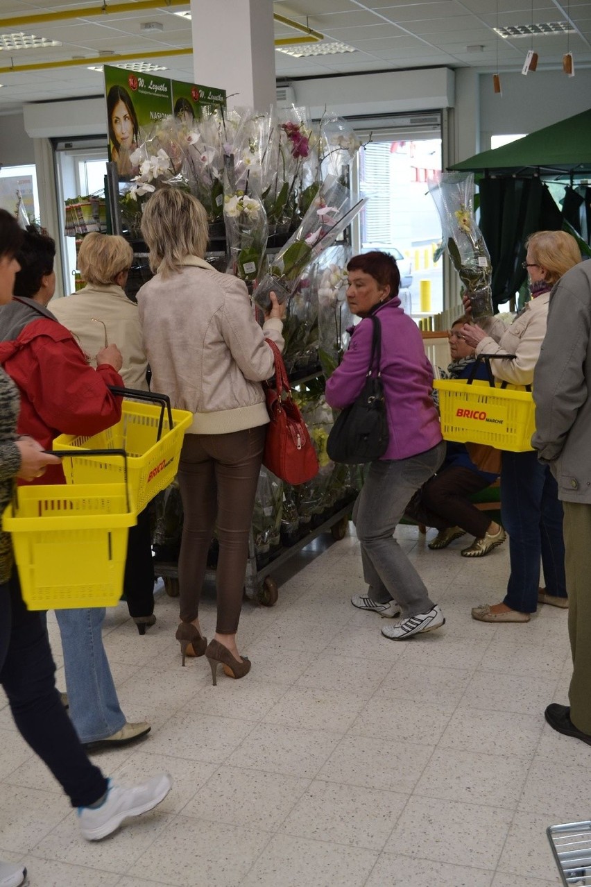 Otwarcie Bricomarche w Wodzisławiu Śląskim