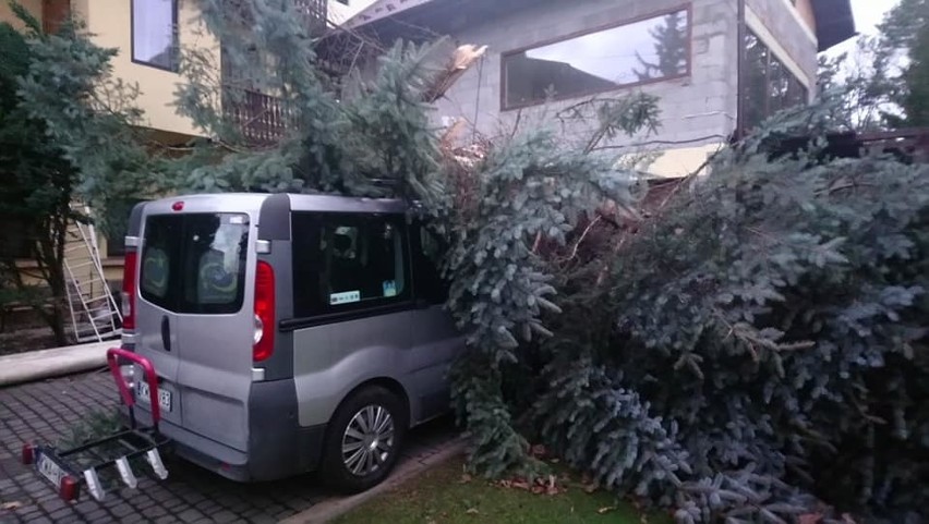 Przygnieciony drzewem pojazd przed domem znalazł w...
