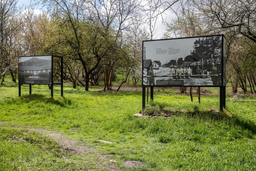 Budowa Muzeum KL Plaszow: oznaczanie granic cmentarzy żydowskich na terenie byłego obozu
